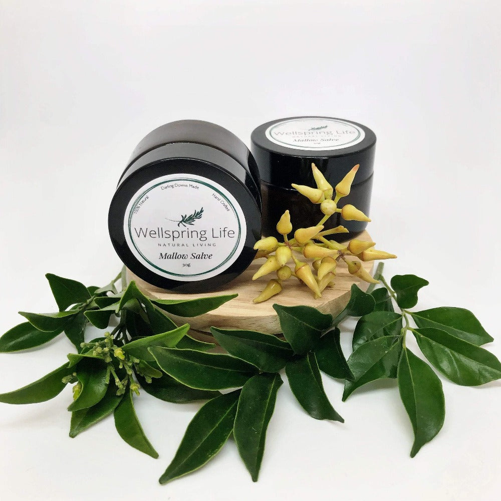 Wellspring Life Mallow Salve