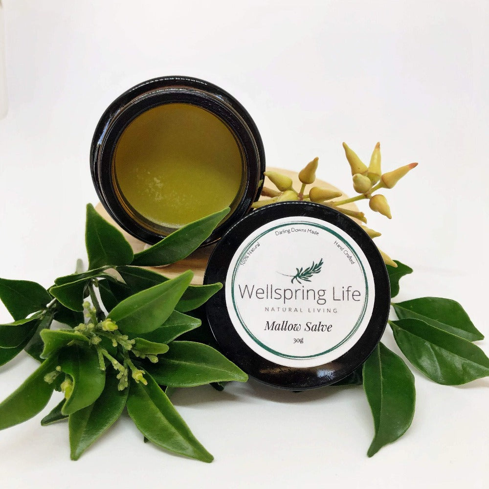 Wellspring Life Mallow Salve